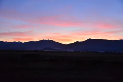 DSC_5855 (Large).JPG